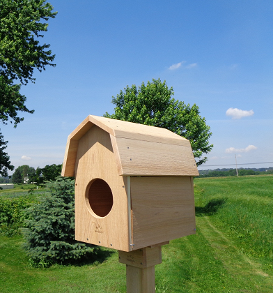 Barn Owl Nest Box-cedar-barn-owl-nestbox-usa